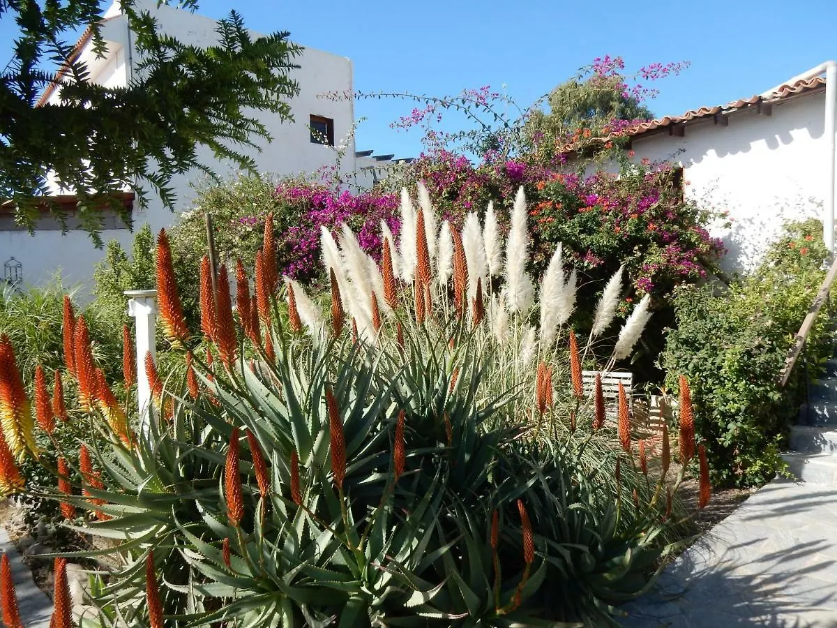 Appartement Finca Florida San Miguel de Abona Spanje